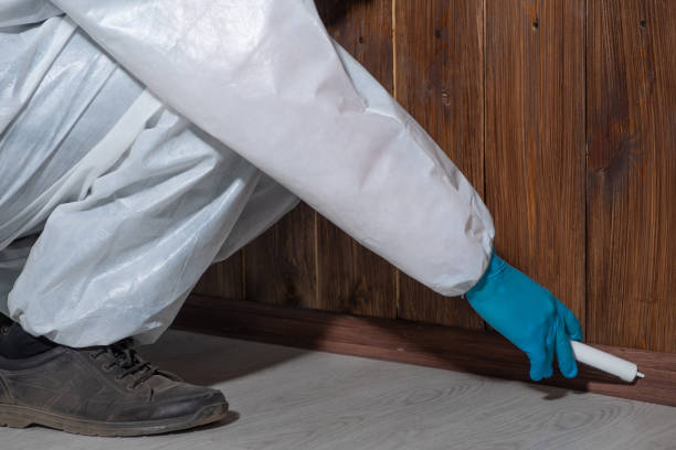 Termite Treatment